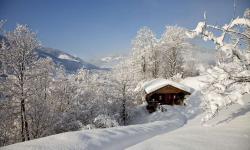 winter02