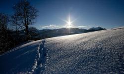 winter03
