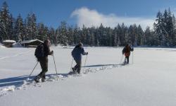 winter12
